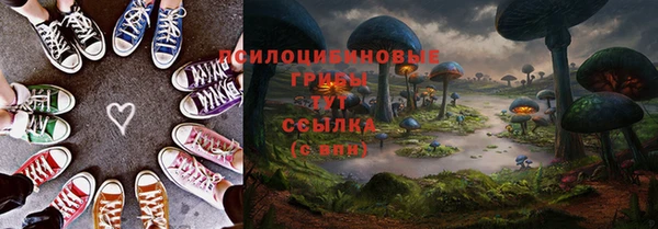 СК Навашино