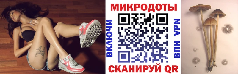 MEGA ССЫЛКА  Приморско-Ахтарск  Псилоцибиновые грибы Cubensis 