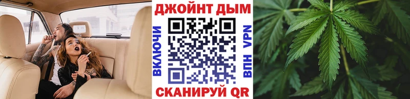 наркотики  Приморско-Ахтарск  Канабис сатива 